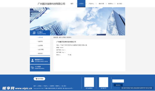 數(shù)字時(shí)代的企業(yè)形象與界面設(shè)計(jì) 從官網(wǎng)到電商平臺(tái)的視覺工程
